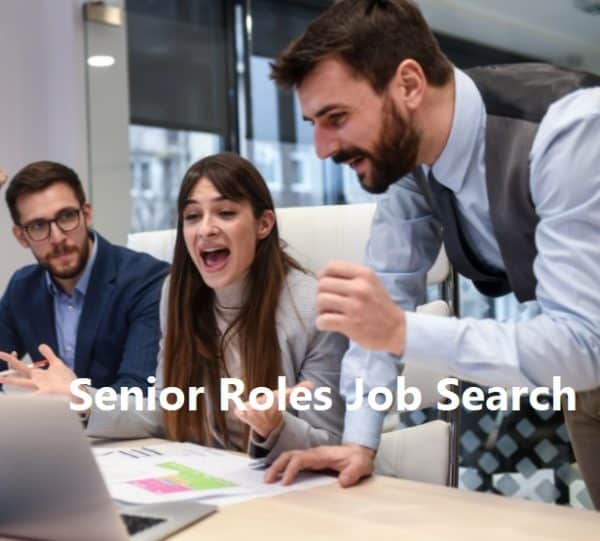 Senior Roles Job Search